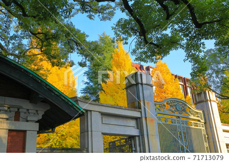 東京大學_正門和黃葉銀杏 東京大學_正門和黃葉銀杏 71713079