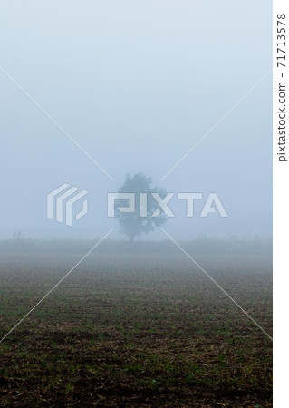 Biei-cho, Hokkaido Trees in a field surrounded by morning mist October Biei-cho, Hokkaido Trees in a field surrounded by morning mist October 71713578
