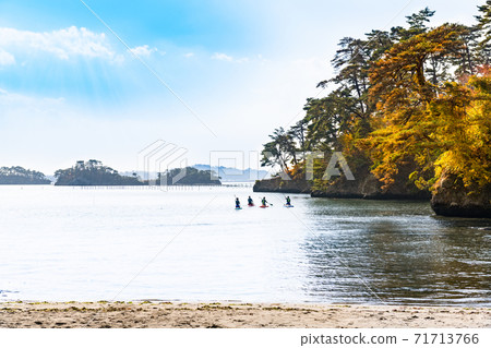 Matsushima Bay Ogihama Autumn Leaves and Stand Up Paddle Boat 71713766
