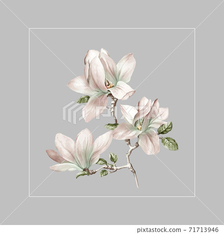 Colorful floral material combinations and design elements Colorful floral material combinations and design elements 71713946