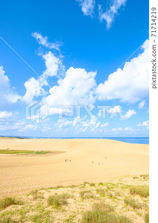 Tottori sand dunes 71714219