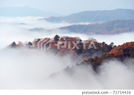 山四郎6974 71714416