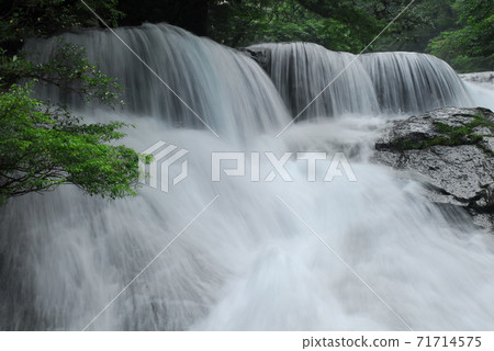 Fresh green 43 million waterfalls (Kikuchi Gorge) Fresh green 43 million waterfalls (Kikuchi Gorge) 71714575