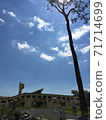 Miracle Pine in Rikuzentakata 71714699