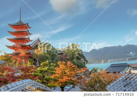 染色 染色 71714910