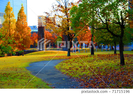 愛知縣名古屋市西區的鳥武森林和秋葉紅磚，秋葉，城市景觀[11月] 71715196