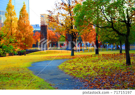 愛知縣名古屋市西區的鳥武森林和秋葉紅磚，秋葉，城市景觀[11月] 71715197