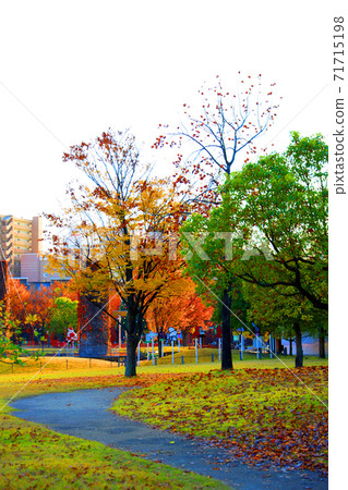 愛知縣名古屋市西區的鳥武森林和秋葉紅磚，秋葉，城市景觀[11月] 71715198