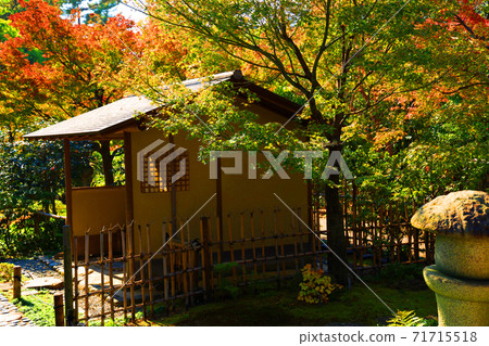 愛知縣名古屋市德川花園和秋葉，花園，秋天的樹葉，季節[11月] 71715518