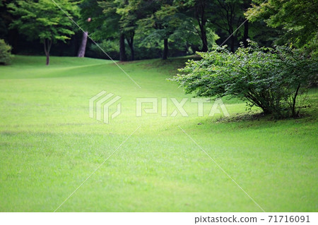 玄宗寺天堂花園 玄宗寺天堂花園 71716091