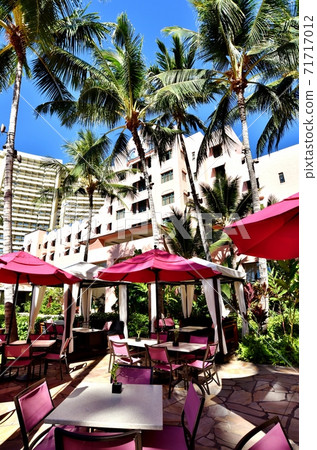 夏威夷的假期 夏威夷的假期 71717012