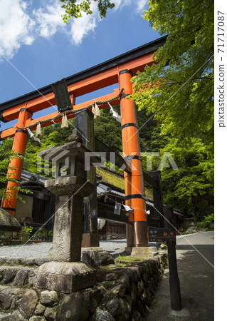Oku Sagano Spring Oku Sagano Spring 71717087