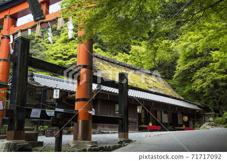 奧沙之春 71717092