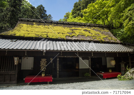 Oku Sagano Spring 71717094