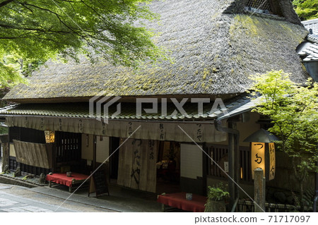 Oku Sagano Spring Oku Sagano Spring 71717097