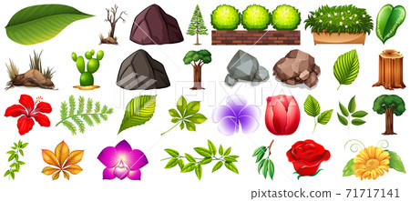 Set of different nature isolated on white background 71717141