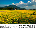 Mt. Tsukuba and sunflower field 71717981