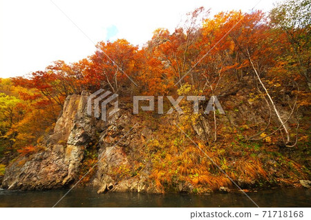 Sadayamakei溫泉在深秋的Futami吊橋,在極好的景色中 Sadayamakei溫泉在深秋的Futami吊橋,在極好的景色中 71718168