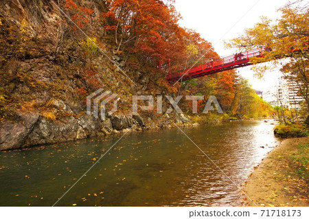 Sadayamakei溫泉在深秋的Futami吊橋,在極好的景色中 Sadayamakei溫泉在深秋的Futami吊橋,在極好的景色中 71718173