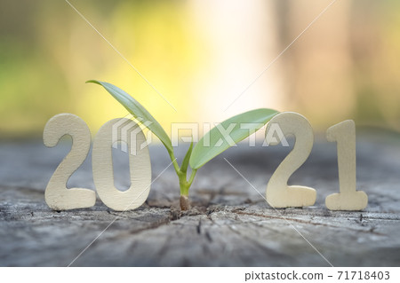 Wood block 2021 and  small plant tree.  71718403