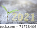 Wood block 2021 and  small plant tree. 71718406