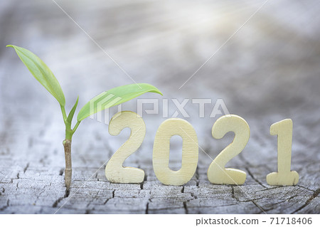 Wood block 2021 and  small plant tree. 71718406