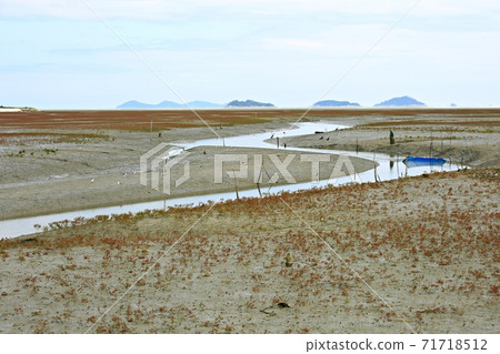 Natural ecosystem, beach 71718512