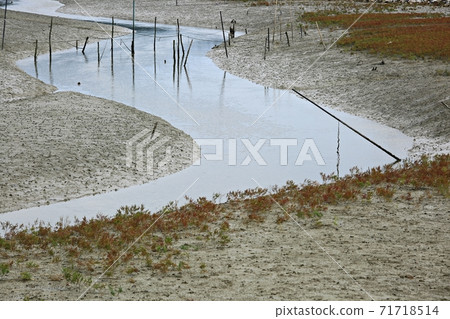 Natural ecosystem, beach 71718514