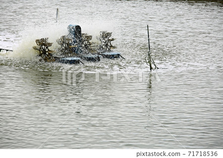 Natural ecosystem, beach 71718536