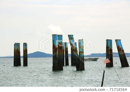 Natural ecosystem, beach 71718564