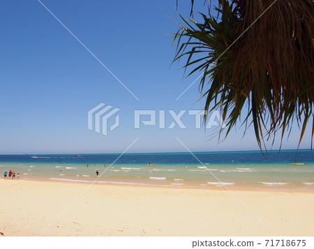 莫頓島上的美景海灘 71718675