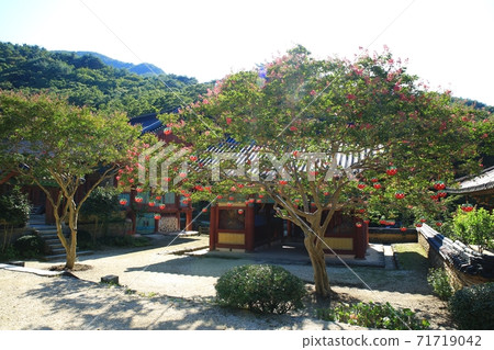 百隆開花寺,松光寺 百隆開花寺,松光寺 71719042