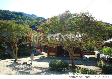 百隆開花寺,松光寺 百隆開花寺,松光寺 71719045