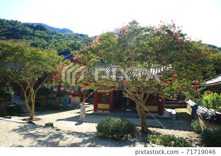 百隆開花寺，松光寺 71719046