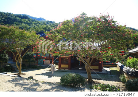 百隆開花寺,松光寺 百隆開花寺,松光寺 71719047