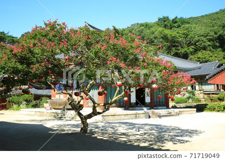 Baelong Flowering Temple, Songgwangsa Temple Baelong Flowering Temple, Songgwangsa Temple 71719049