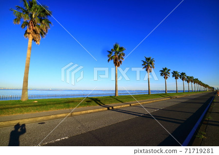 索德高拉海濱公園(Cibafornia) 索德高拉海濱公園(Cibafornia) 71719281