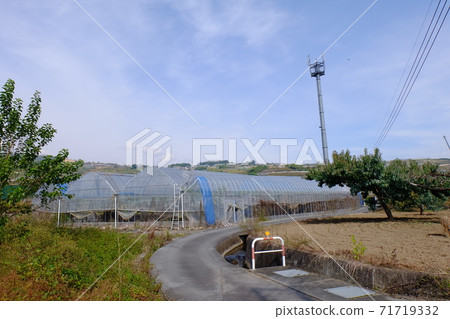 Orchards and mobile base stations 71719332