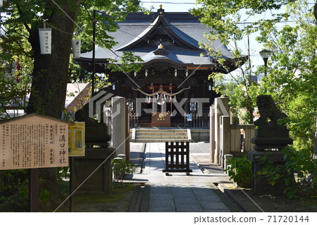 Mizonokuchi Shrine, Kawasaki City, Kanagawa Prefecture 71720144