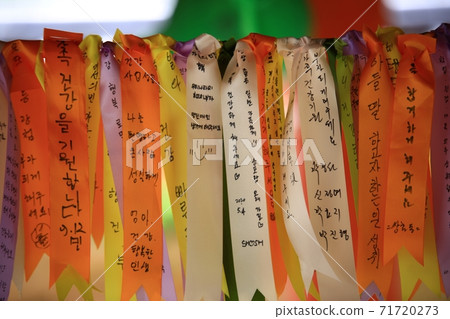 開花的一天，龍天使 71720273
