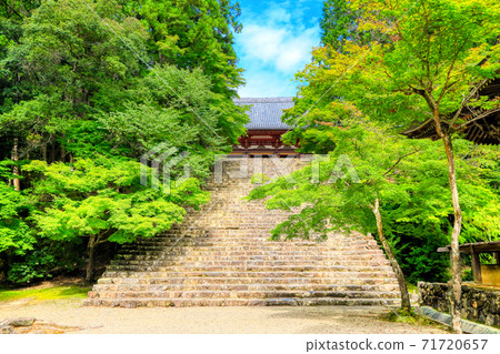 京都高雄山神寺 京都高雄山神寺 71720657