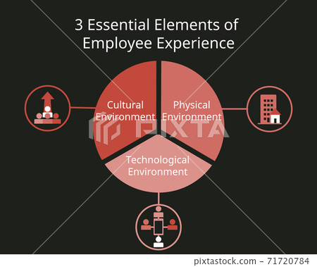 three Essential Elements of Employee Experience vector 71720784
