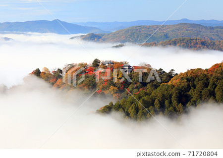 山城在天空4877 山城在天空4877 71720804
