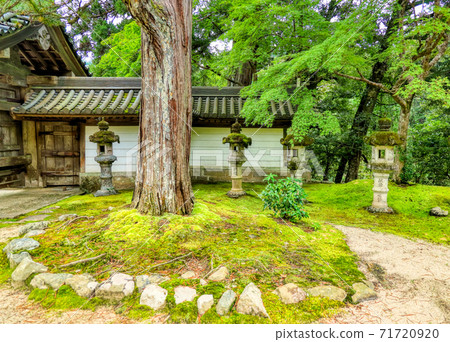 Makiosan Saimyoji, Kyoto Makiosan Saimyoji, Kyoto 71720920