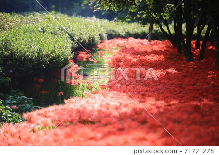 鮮花盛開的那一天,Bulgapsa寺 鮮花盛開的那一天,Bulgapsa寺 71721278