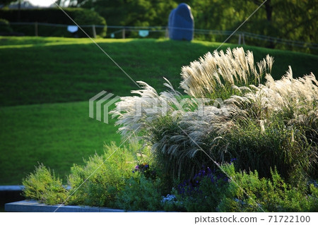 自然風光,花園中的春天 自然風光,花園中的春天 71722100