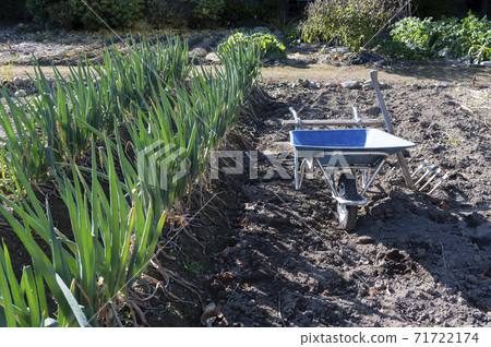 A hand-held unicycle (cat) and a hoe in the field 71722174