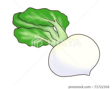 Turnip 71722508