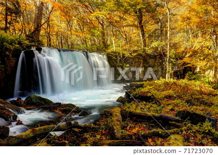 Oirase Gorge Choshi Otaki in Kinshu Oirase Gorge Choshi Otaki in Kinshu 71723070