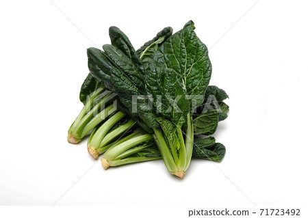 Shrinking Japanese mustard spinach Shrinking Japanese mustard spinach 71723492
